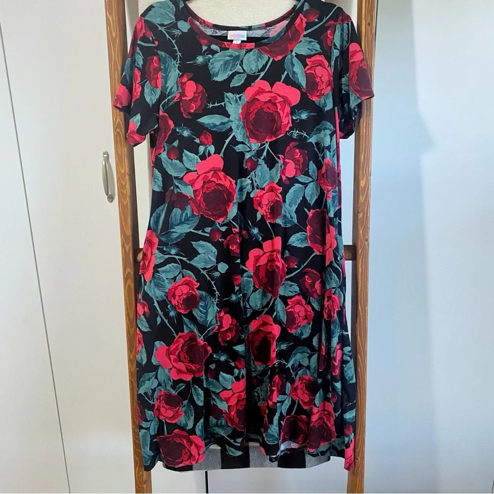 LuLaRoe / Carly Dress - Picture 2 of 7
